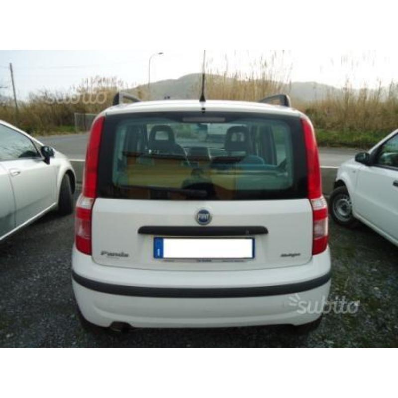 FIAT Panda 2ª serie 1.3 mjt 51 kw Dynamic - 2005