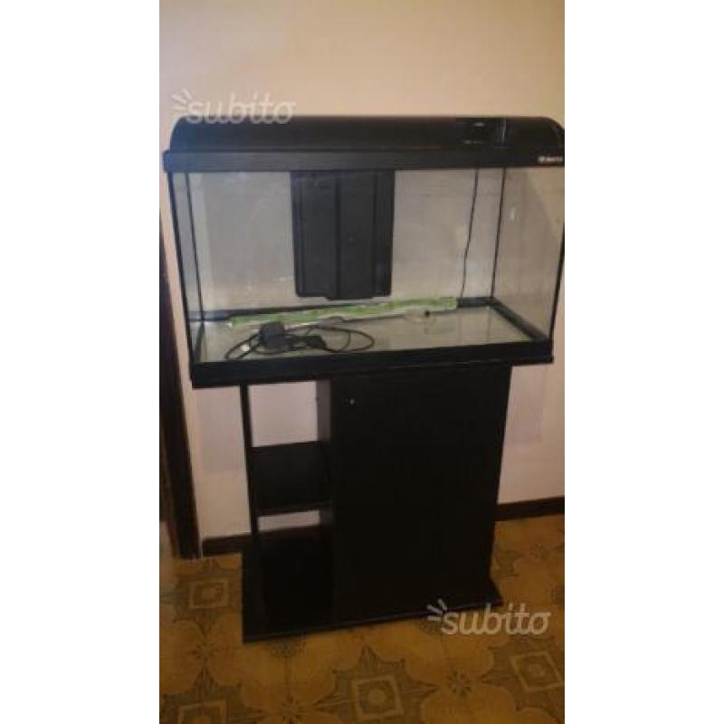 Acquario asckol ambiente 120 Lt