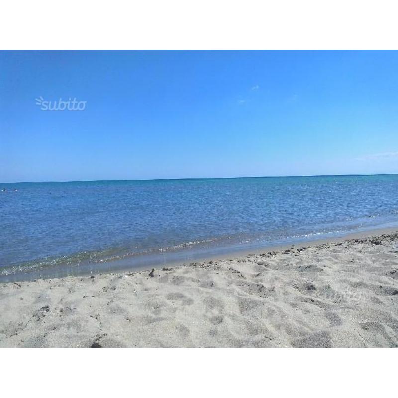 Mare e sole a san basilio - ulivi 2