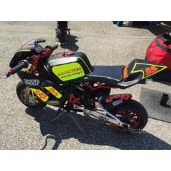 Minimoto dm factory r