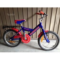 Bici bimbo/a 4-6 anni