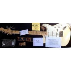 Chitarra Fender America Standard