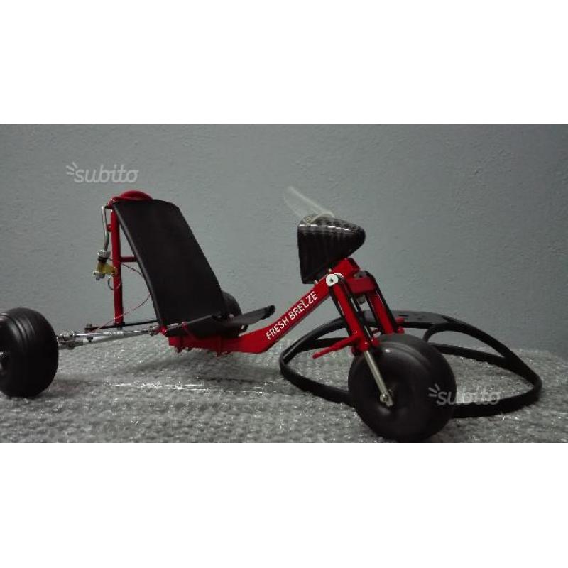 Parapendio rc