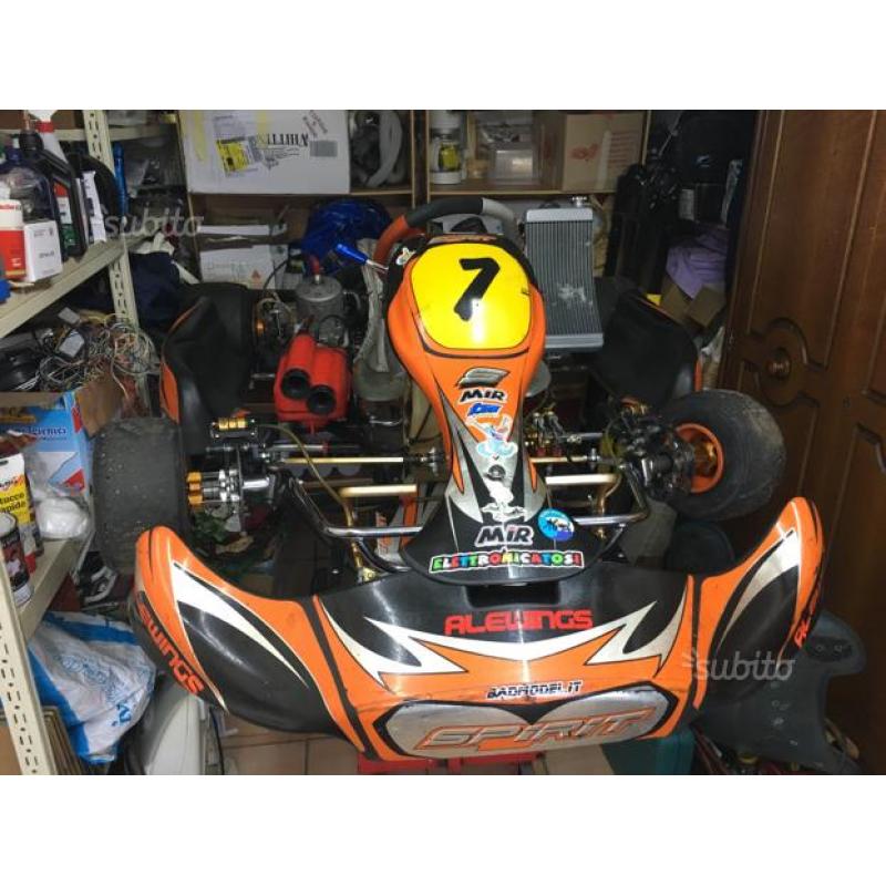 Kart Birel 125 marce