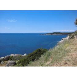 Luglio all'isola d'Elba in coppia