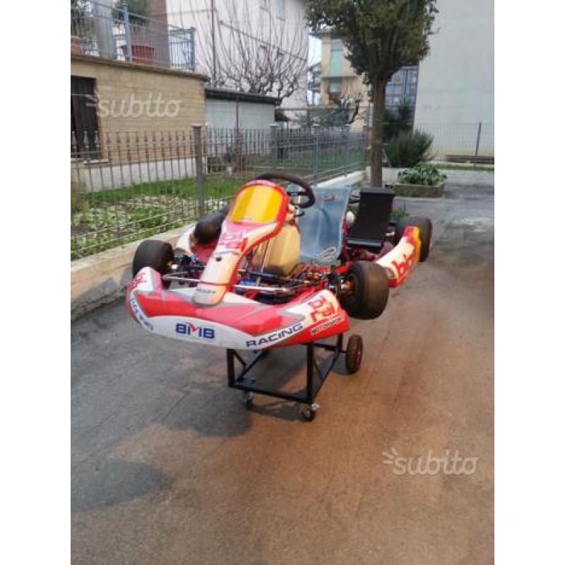 Telaio Birel freeline r31 2008. Kz a marce