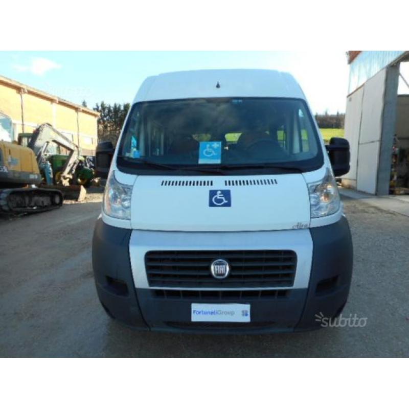 FIAT DUCATO TRASPORTO DISABILI  ANNO  218185