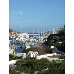 Vigna Marina Porto turistico di S Teresa Gallura