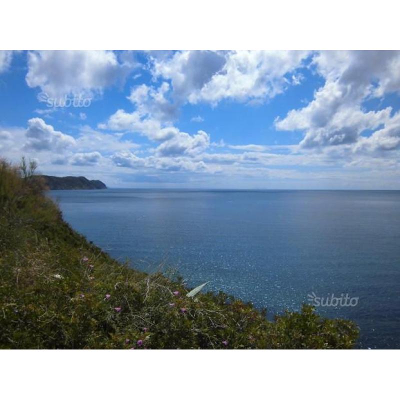 L'isola d'Elba in luglio è davvero stupenda