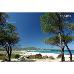 Sardegna Mare Budoni Tanaunella