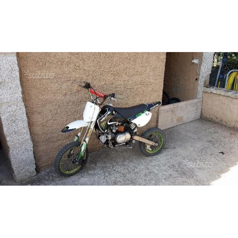 Pitbike deam 150