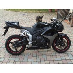 Honda CBR 600 - 2008