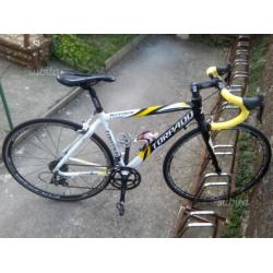 Bici Corsa Torpado