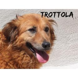 Trottola 16 kg una bionda timida