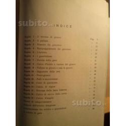 Libro arbitrale Casistica