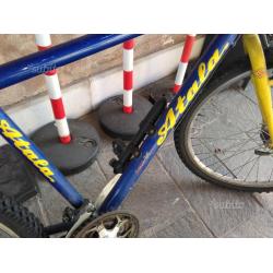 Mountain Bike Atala - blu e gialla