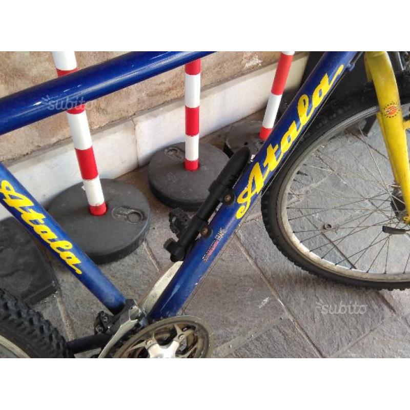 Mountain Bike Atala - blu e gialla