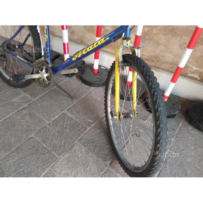 Mountain Bike Atala - blu e gialla