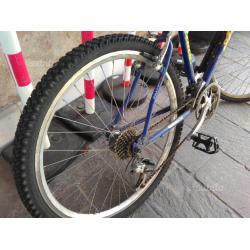 Mountain Bike Atala - blu e gialla