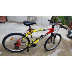 Moutainbike carnelli 900