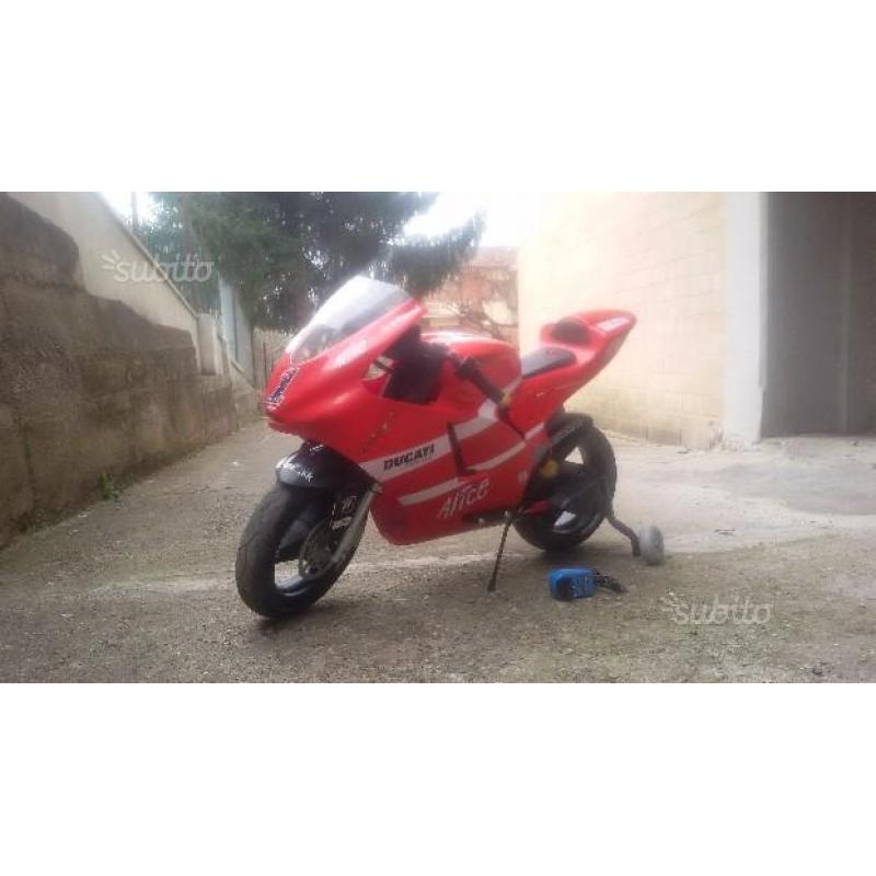 Moto DUCATI