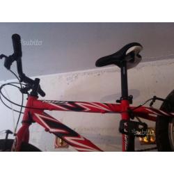 Bicicletta Nuzzi 20"