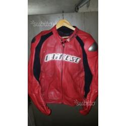 Giacca e pantalone pelle dainese