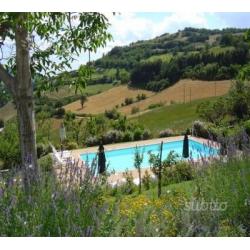 Agosto appartamento giardino piscina 4posti Assisi