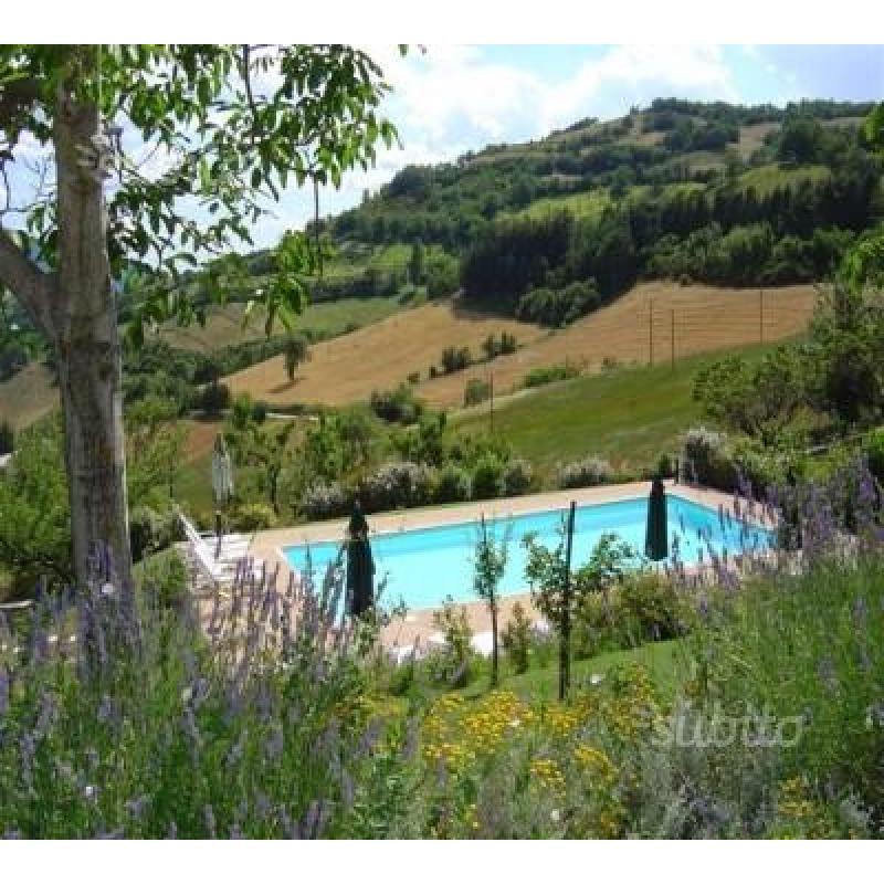 Agosto appartamento giardino piscina 4posti Assisi